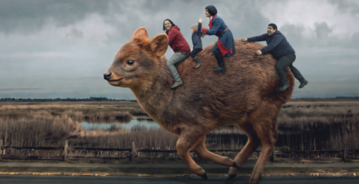 Festival Internacional de Cine de Valdivia