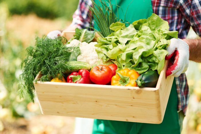 Pérdida y desperdicio de alimentos: un problema que comienza mucho antes de botar la basura