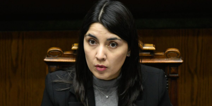 Nueva ley impide a condenados por femicidio y VIF recibir pensión de sus víctimas
