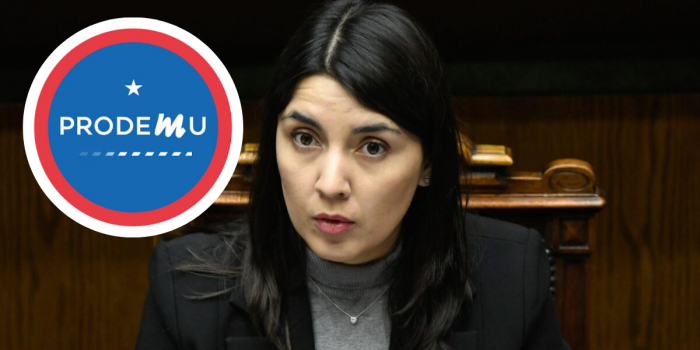 Prodemu: le llaman orden a desmantelar la primera institución para las mujeres de Chile