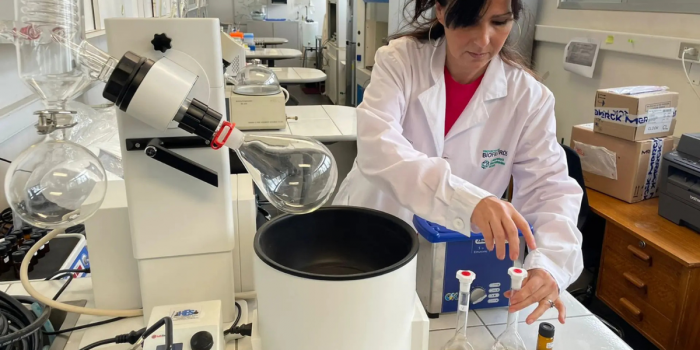 Investigación de la UCM desarrolla filtro de bajo costo para mejorar el agua potable en el Maule