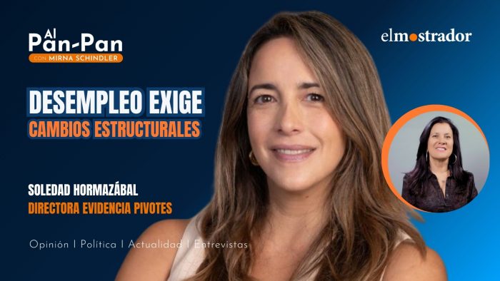 Economista Soledad Hormazábal "no ve posible" bajar desempleo con subsidios o inversión pública