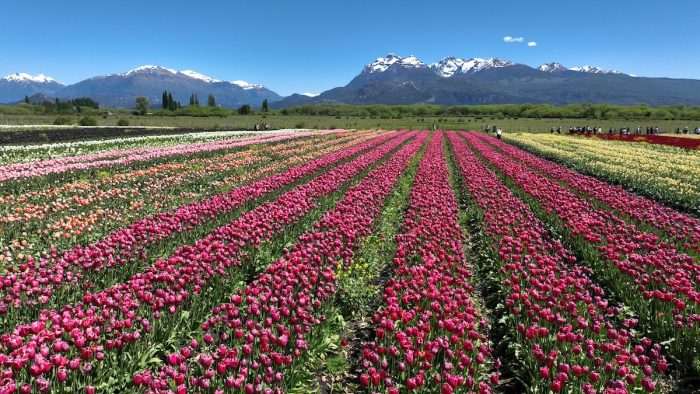 Turismo estacional: la primavera invitan a descubrir destinos en su mejor versión