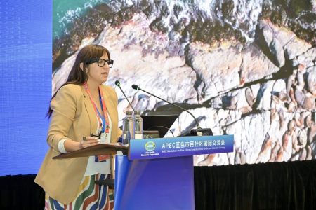 Experta Pilar Muñoz y el Tratado de Altamar: Valparaíso se juega “su identidad como ciudad oceánica”