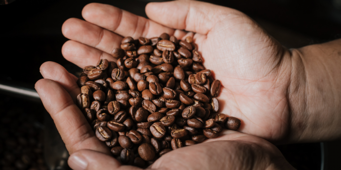 Del instantáneo al grano: el cambio en los hábitos de consumo de café en Chile