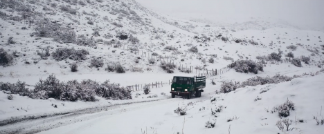 Película chilena "Al sur del invierno está la nieve" premiada en Festival de Cine de Bariloche