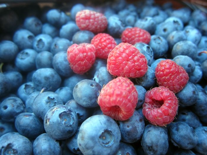La historia detrás del sabor: cómo el terroir define la calidad de los berries chilenos