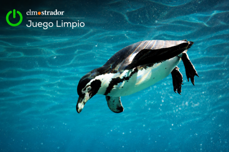 La ironía de la conservación del pingüino en peligro
