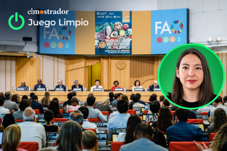 ¿Quién pagará el costo de nuestra falta de adaptación?