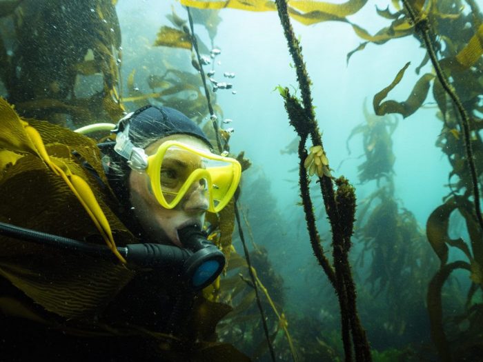 Futuro verde en marcha: refugio marino donde pescadores artesanales e indígenas custodian el océano
