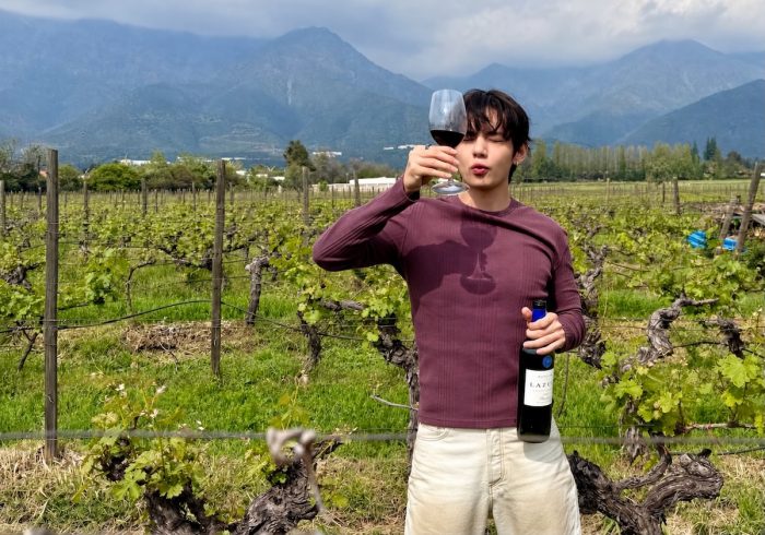 Viña Aquitania, el viñedo boutique que BTS visitó durante su paso por Chile