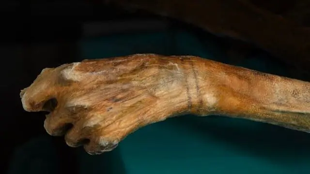 Momias congeladas y rutas vikingas: los secretos que está revelando el derretimiento de los hielos