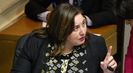 Senadora Vodanovic exige transparentar negociación arancelaria con EEUU