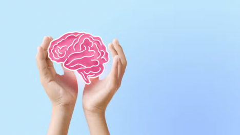 ¿Tenemos dos cerebros?