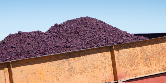 Buscan transformar residuos agroindustriales en fertilizantes orgánicos para los viñedos
