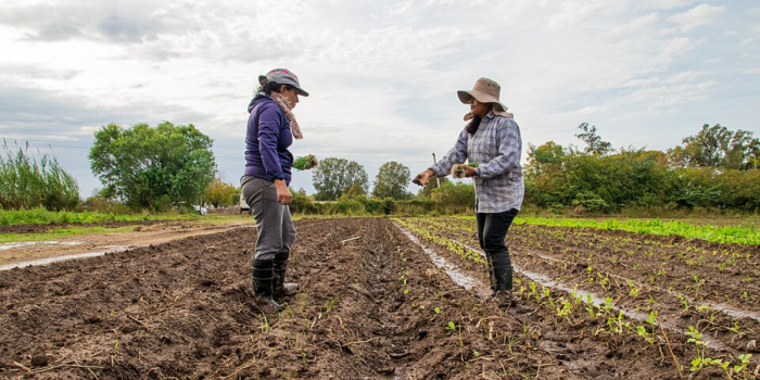 Mujeres rurales, liderazgo imprescindible