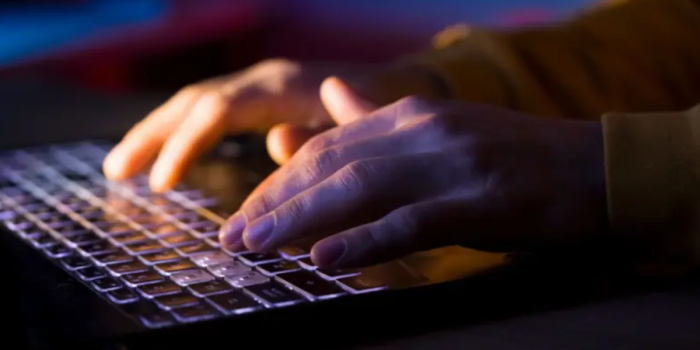 Sitios web de todo el mundo quedan desactivados tras detectarse una falla de seguridad en internet