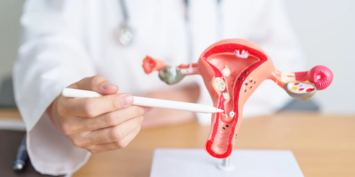 Cero cáncer cervicouterino: por todas las que faltan
