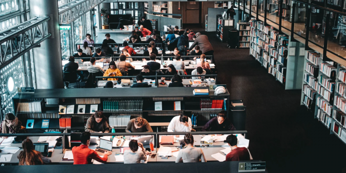 Brechas de género en PISA 2025: ¿una realidad inevitable?