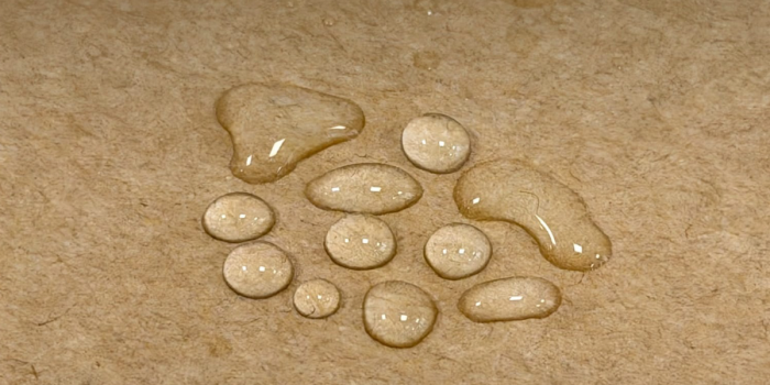Desarrollan recubrimiento natural para reemplazar el plástico en envases de comida para llevar