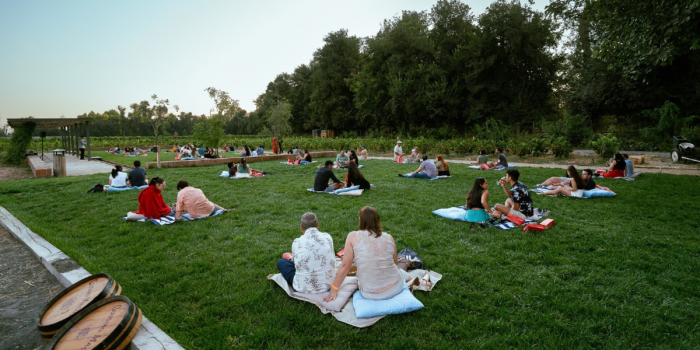 Viñedo retoma su Tour Sunset con recorridos por sus bodegas y picnic al atardecer