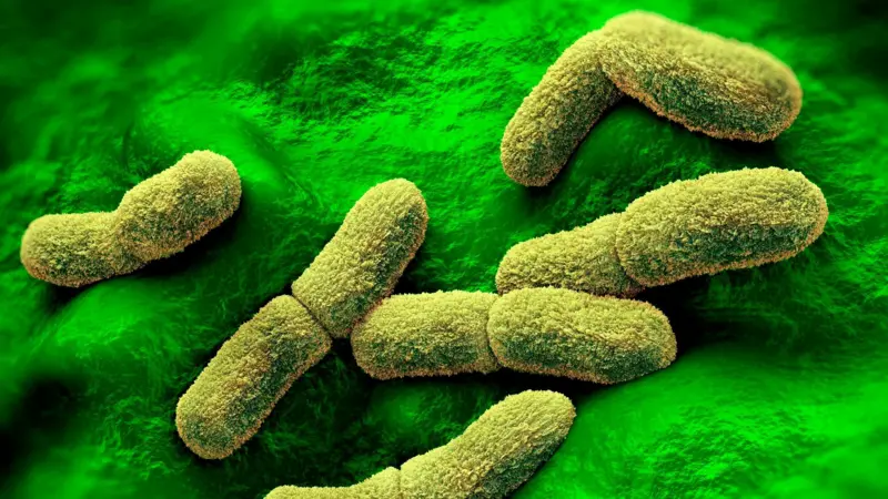 Qué se sabe del caso de la científica que murió en un centro de investigación de la peste en Rusia