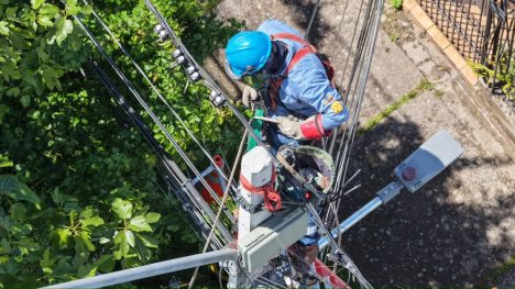 Verano de altas temperaturas: Enel Distribución adelanta inspección de redes y podas