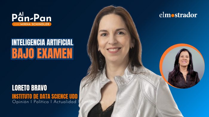 Experta ONU, Loreto Bravo y riesgos de Inteligencia Artificial: “Defendernos de IA con IA”