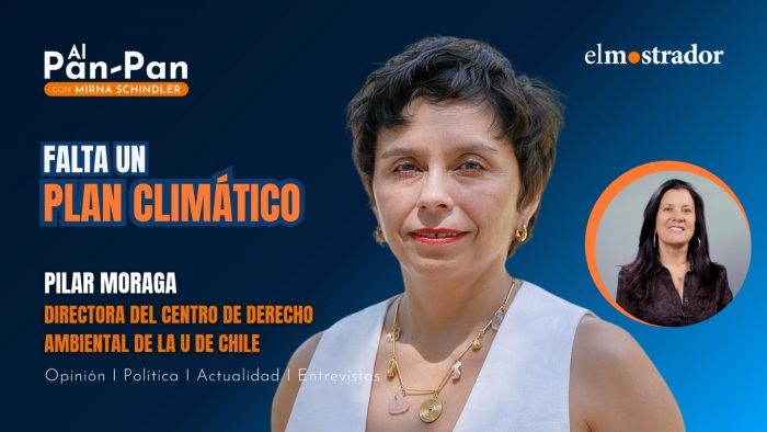 Pilar Moraga y la acción climática: "La inversión siempre va a ser menor que el costo sufrido"