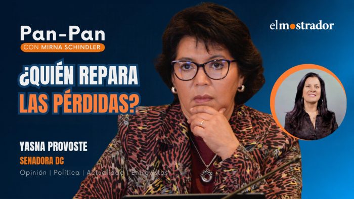 Yasna Provoste y proceso sancionatorio contra las AFP: “Ojalá no termine con clases de ética”