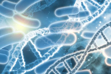 Helicobacter pylori: cómo detectar la bacteria vinculada al cáncer gástrico sin endoscopía