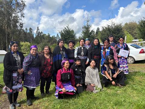 Primer Encuentro de Artes Escénicas y Comunidades de los Pueblos Originarios en Chile