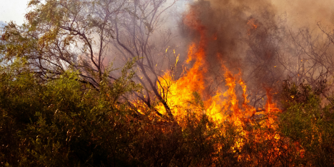 Ley de Incendios cumple tres años sin aprobación y piden acelerar su tramitación