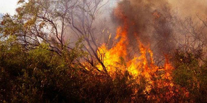 Ley de Incendios cumple tres años sin aprobación y piden acelerar su tramitación