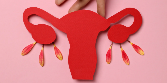 Menopausia y trabajo: más información para mejores entornos laborales