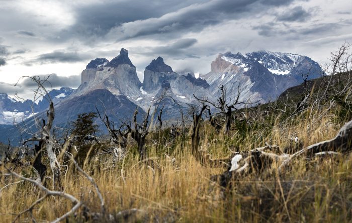 La Patagonia chilena gana espacio como alternativa para los viajes de estudios
