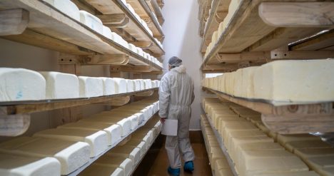 Lácteos Matthei es prohibida por el Minsal tras reiteradas muestras positivas con listeria