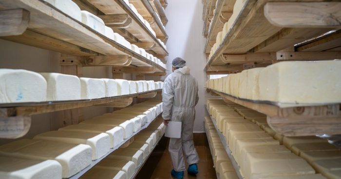 Lácteos Matthei es prohibida por el Minsal tras reiteradas muestras positivas con listeria
