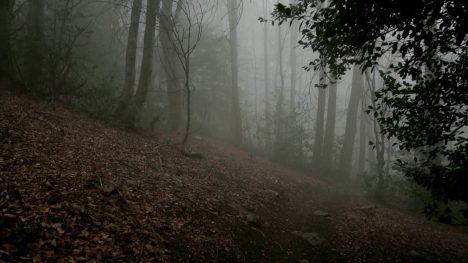 Ciclo de cine y conversación "Imágenes Anómalas: Creación audiovisual en la era de la IA"