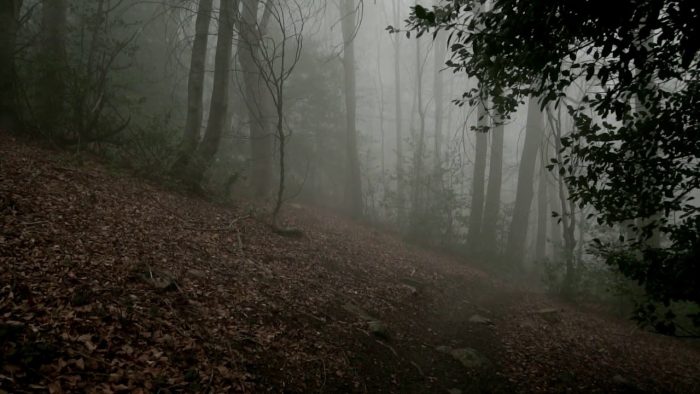 Ciclo de cine y conversación “Imágenes Anómalas: Creación audiovisual en la era de la IA”